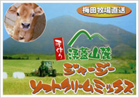 �~�c�q�����N�W�R�[�W���[�W�[�\�t�g�N���[��