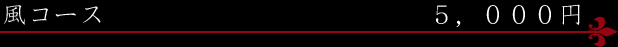 ���R�[�X�@5,000�~