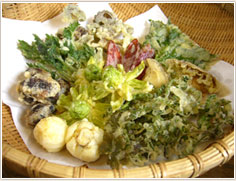 ����V�`�b�v�X