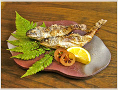 ���싛����